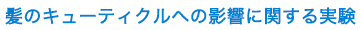 髪のキューティクルへの影響に関する実験