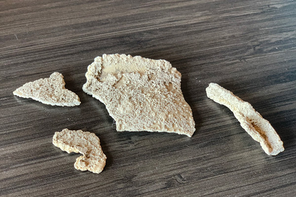 剥離されたスケール