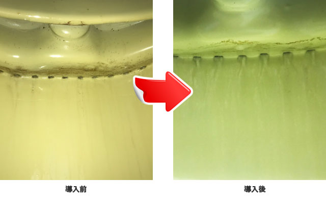 トイレの排水口イメージ