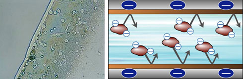 ドールマンショック設置後