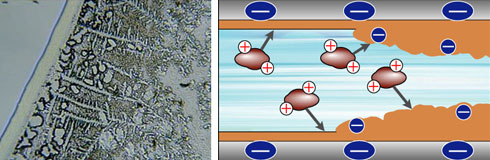 ドールマンショック設置前