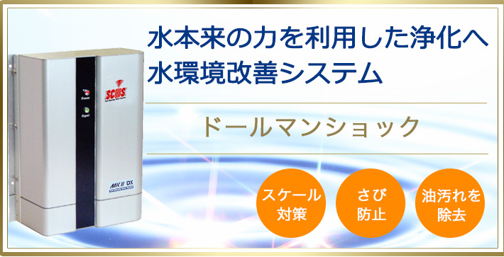 ドールマンショック