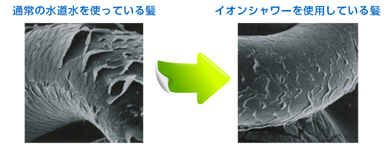 通常の水道水を使っている髪とイオンシャワーを使用している髪比較